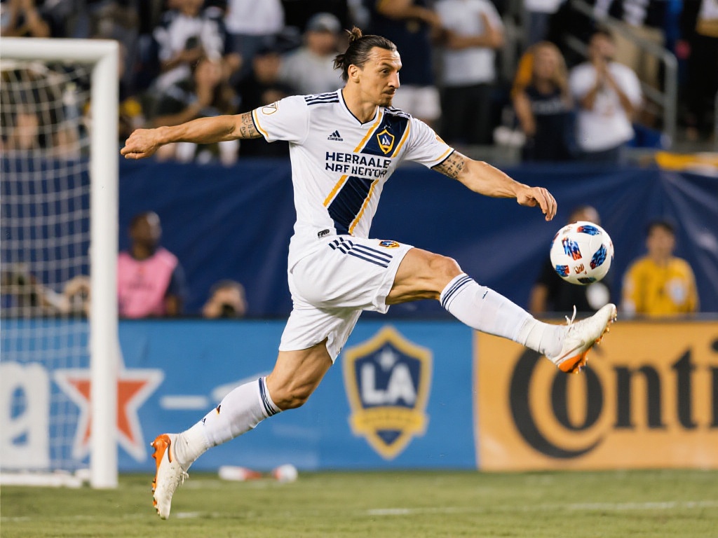 意为这位葡 意为这位葡